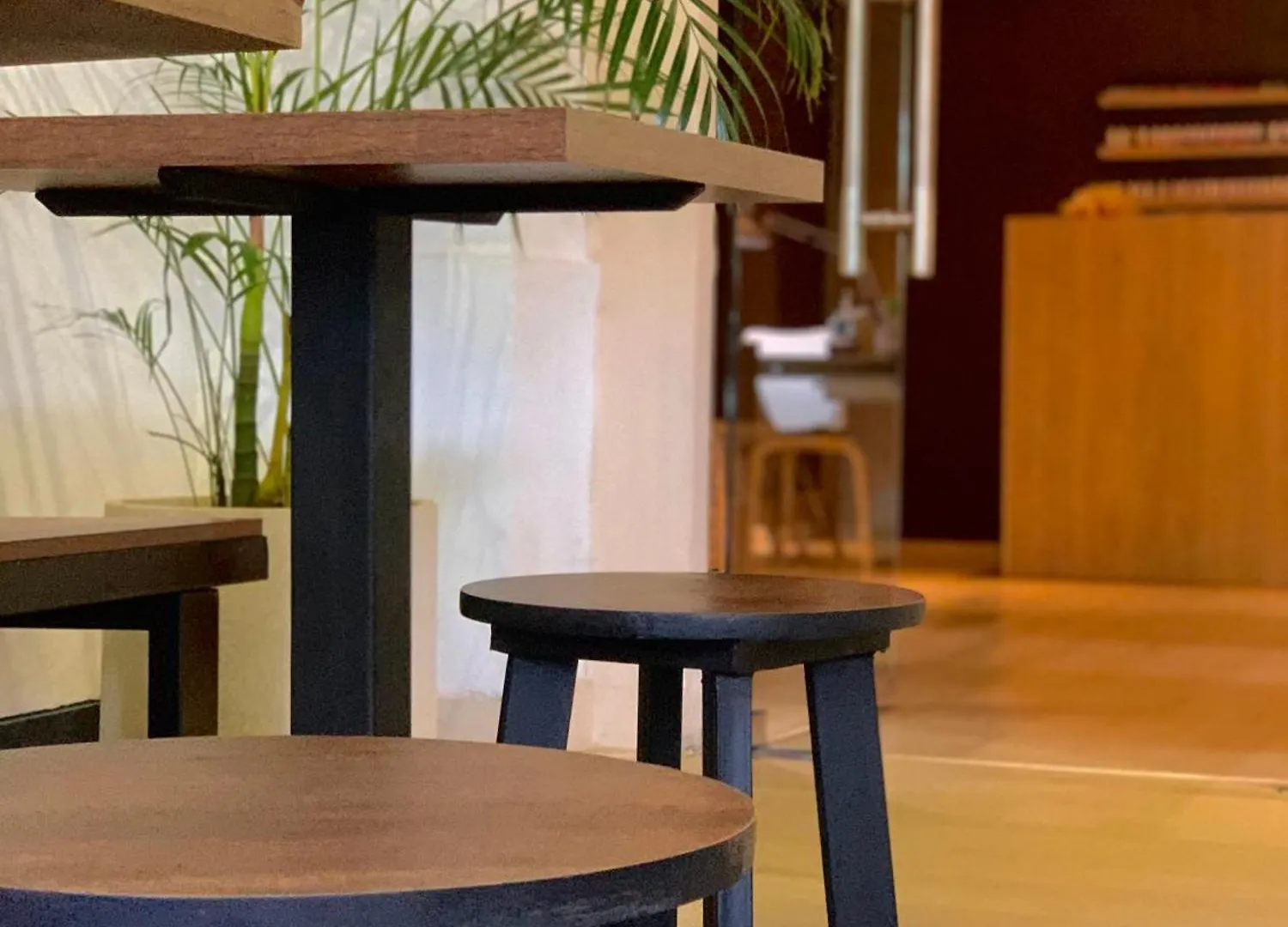 聖多明哥Moka House公寓式酒店 公寓式酒店 聖多明哥
